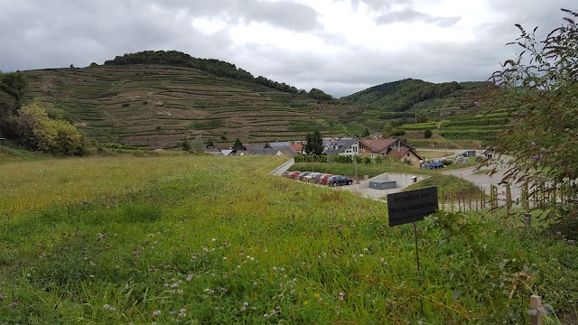 Winery and wine shop Franz Keller Schwarzer Adler