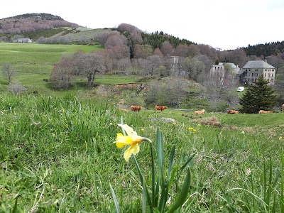 photo of Ancienne Chartreuse de Bonnefoy