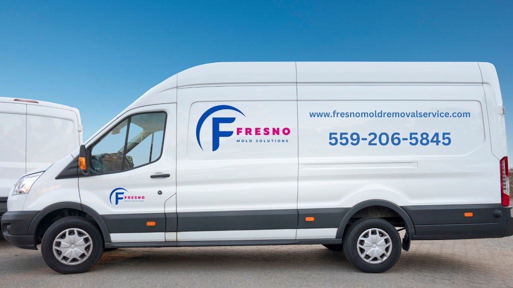 Fresno Mold Solutions photo