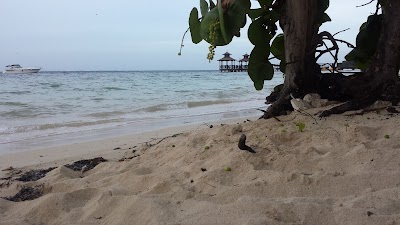 Photos of Dressel Divers Jamaica