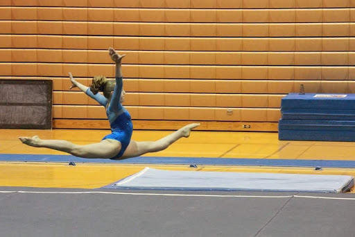 Alpha Gymnastics - Visual