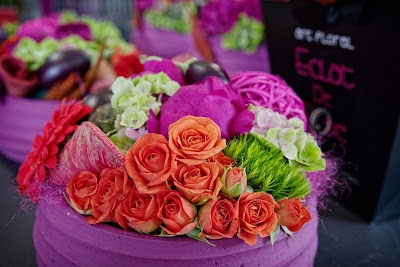 Photos of Eclat de rose