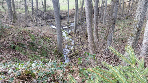 Ostholzbachtal - Thumbnail