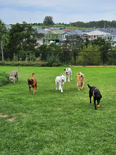 Emerald Hills Dog Park - Thumbnail