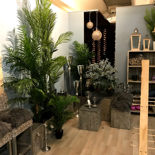 Flor Idea - Visual