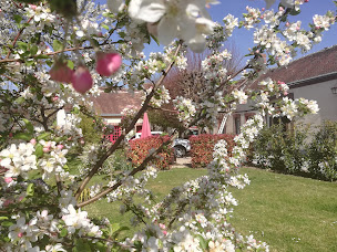 Photo n°6 de La Cité Des Abeilles à Villemandeur (Chambre d'hôtes)