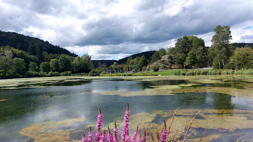 Lauchertsee Eins - Thumbnail