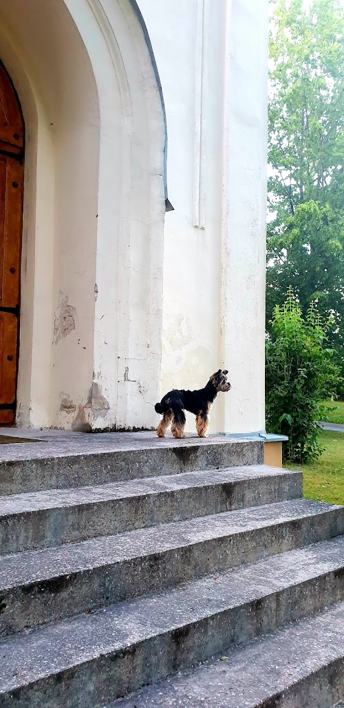 Jurbarko turizmo ir verslo informacijos centras