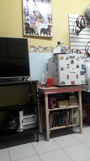 Veterinaria Sanchez Briones - Thumbnail