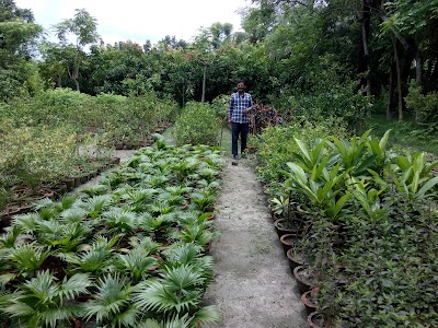 Photos of Akaba Nursery