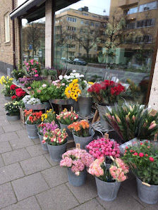 Fridhems Blomsterhandel - Malmö