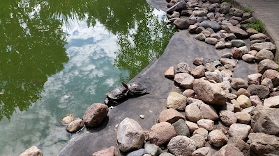 Photos of Zoosad