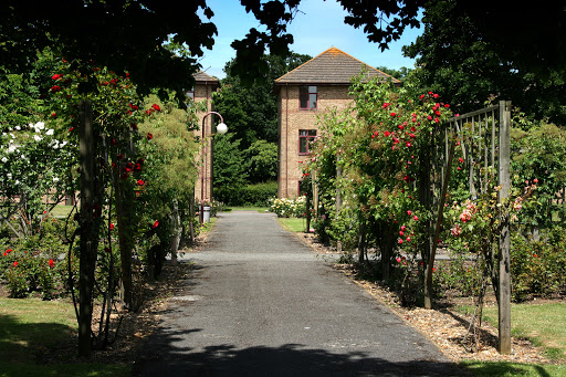 Darwin College - Visual