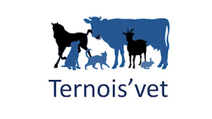 Photo n°2 de Cabinet Vétérinaire TERNOIS'VET à Herlin-le-Sec (Clinique vétérinaire)