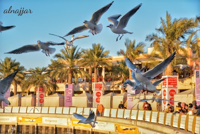 Photos of Marina Boat Yard