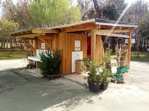 Photo n°3 de Les Ajoncs de Biscarrosse aire naturelle à Biscarrosse (Terrain de camping)