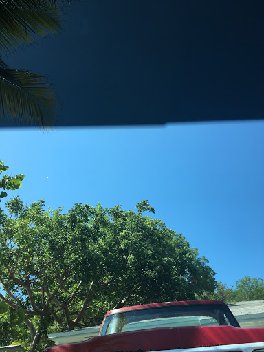 Tint the Keys - Visual