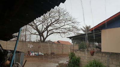 Photos of ຕະຫຼາດໃໝ່ ດົງຄຳຊ້າງ