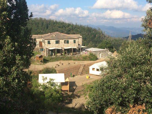 Degli Olivi, Levanto