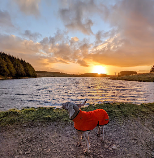 Neilston Pad - Thumbnail