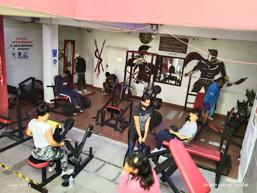 Gym Black Spartan