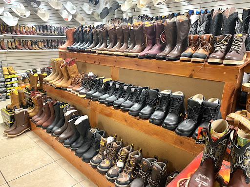 Rodeo Azteca - Visual