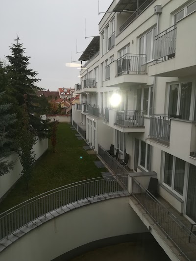 Photos of Plage Hotel