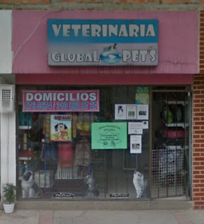 veterinary-care