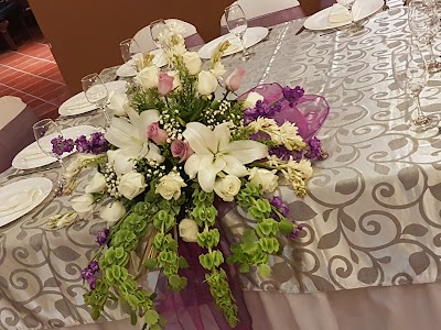 Photos of Quinta Mercedes