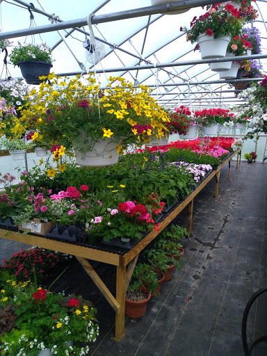 Kilmer's Kountry Greenhouse - Thumbnail