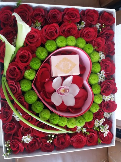 Photos of Flower Lakes UAE