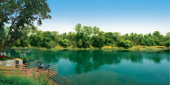 Af1qipofowvm19flhep5oo 1vcmjlm39 H4mqu8le5ve=s580 K No