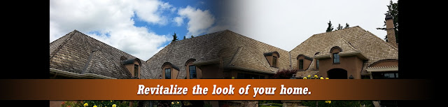 View of Maverick SoftWash in  - Top-rated Pressure Washing Service nearby.