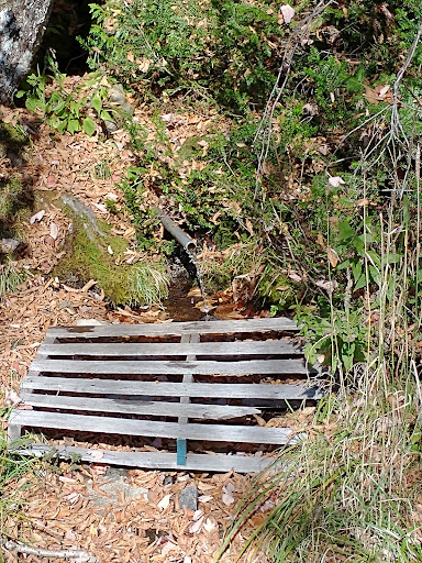 Spring water - Visual