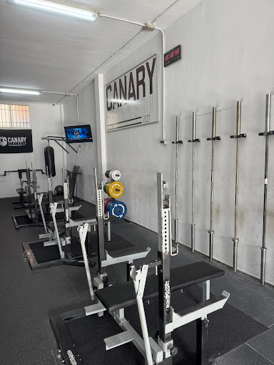 CANARY STRENGTH (CS GYM)