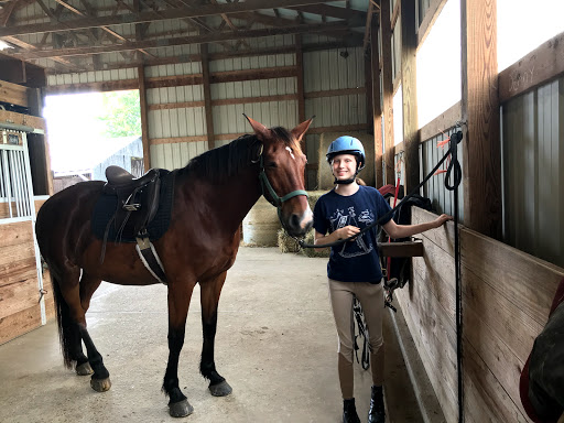 Bull Run Stables - Thumbnail