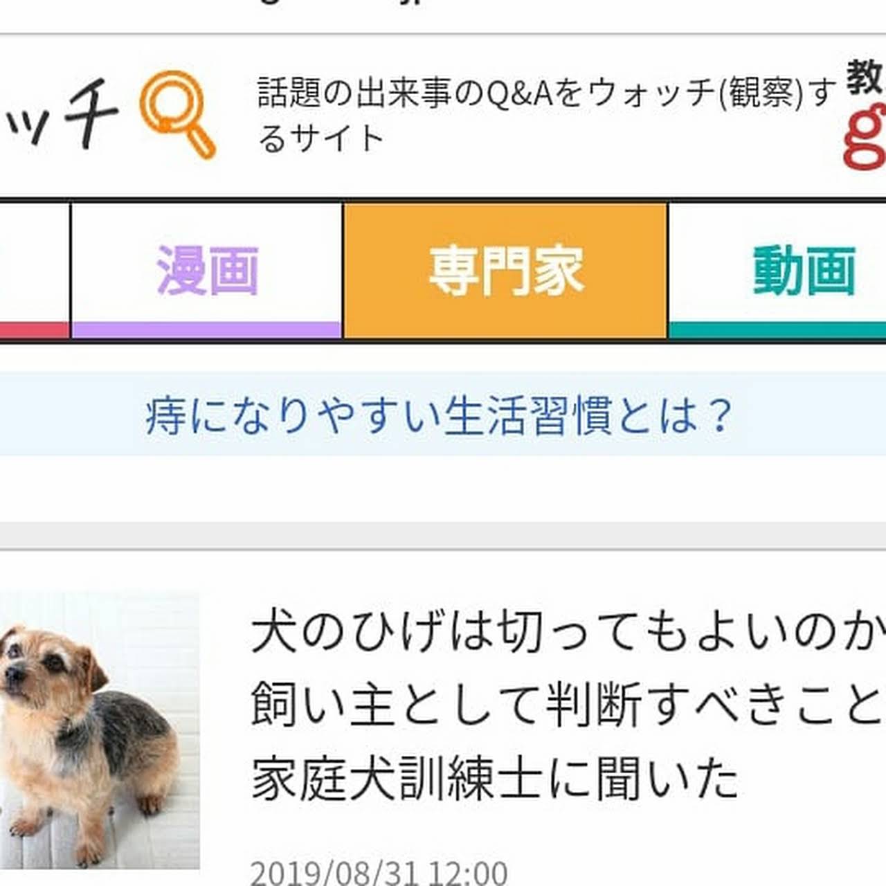 犬と人の学び場 ポケット ペット 訓練 シッター ホテル業