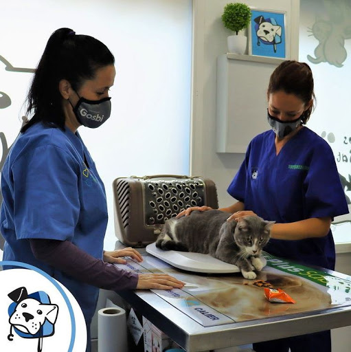 Clínica Veterinaria Puerta Alcalá