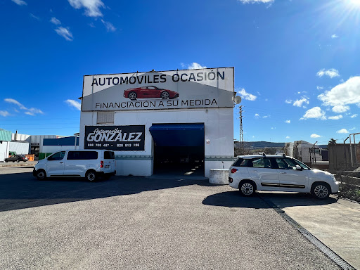 Automóviles Gonzalez X1