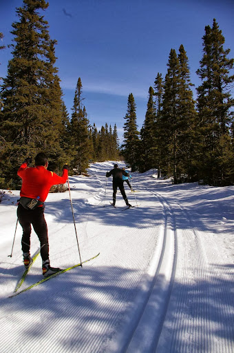 Airport Nordic Ski Club - Thumbnail