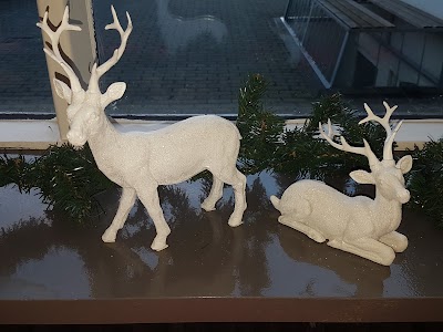 Photos of Langholtskirkja