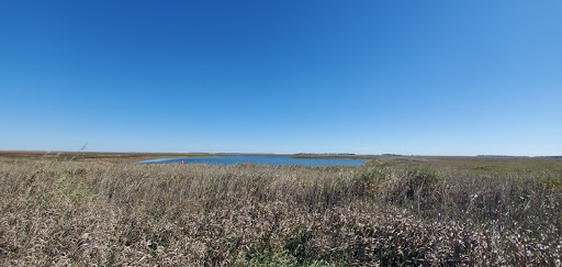 Crystal Lake Waterfowl Production Area-Aurora County - Thumbnail