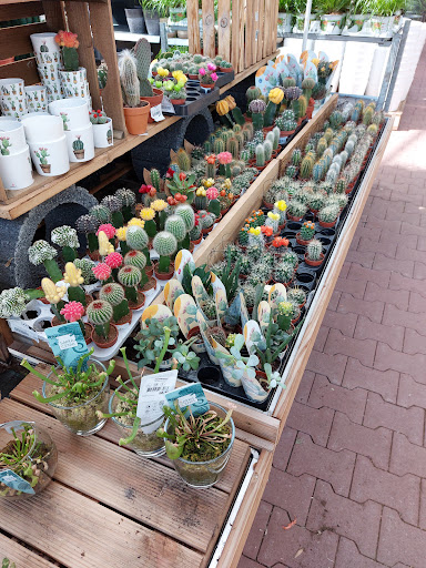 OBI Gartencenter Parsdorf - Thumbnail