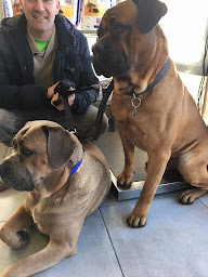 Photo n°16 de Clinique Vétérinaire Montesquieu à Martillac (Pharmacie vétérinaire)