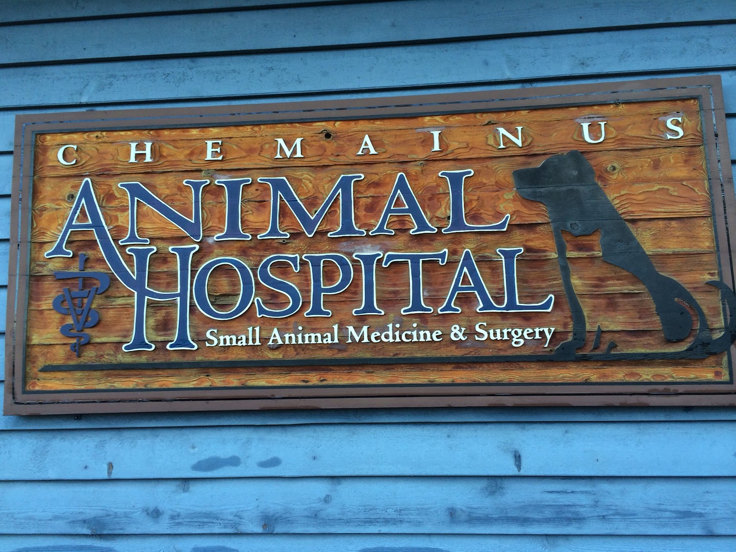 Chemainus Animal Hospital Ltd