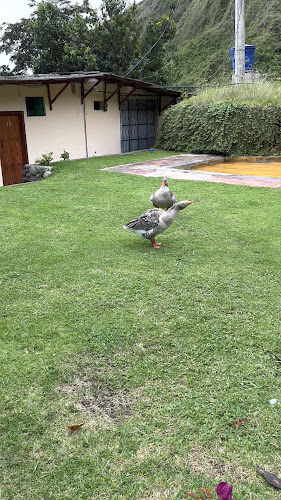 http://www.santagua.com.ec/