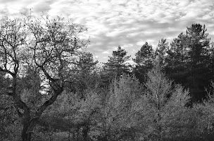 Photo n°3 de Tradim à Nevoy (Agence immobilière)