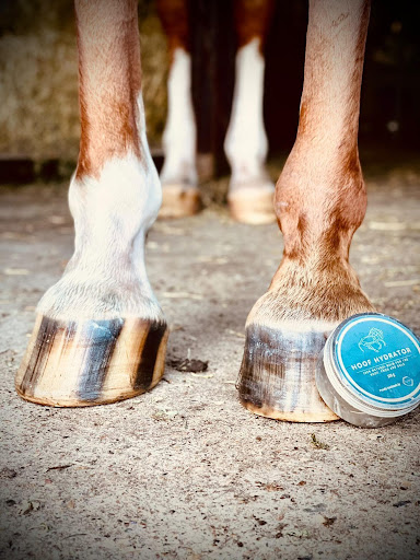 Buzz Balms - Visual