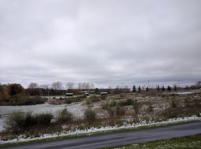 school