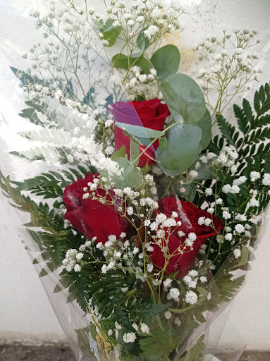 Floristería Salviflor - Thumbnail